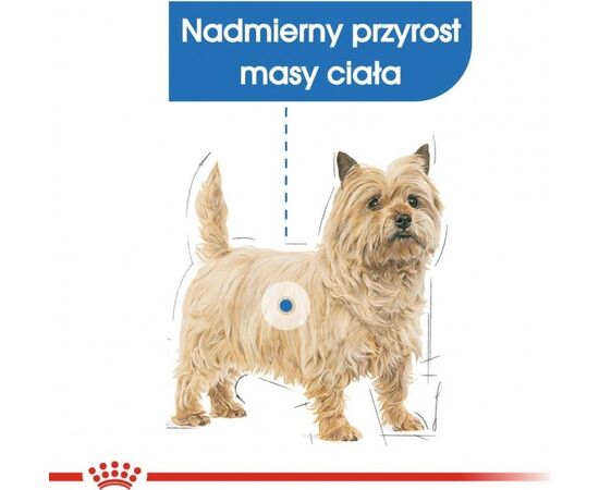 ROYAL CANIN CCN MINI LIGHT WEIGHT CARE - DRY FOOD FOR ADULT DOGS - 3KG