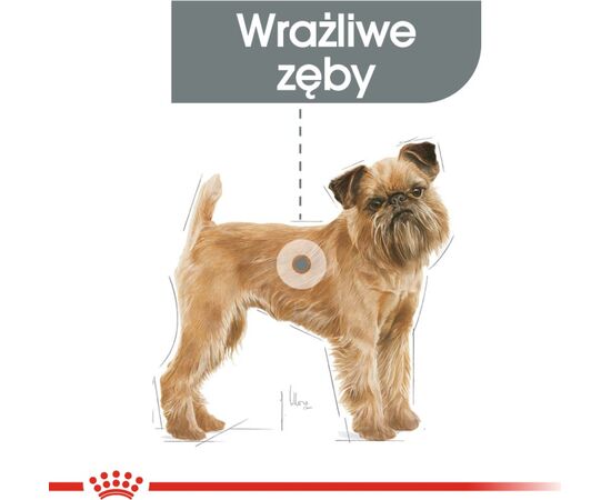 ROYAL CANIN CCN MINI DENTAL CARE - DRY FOOD FOR ADULT DOGS - 3KG