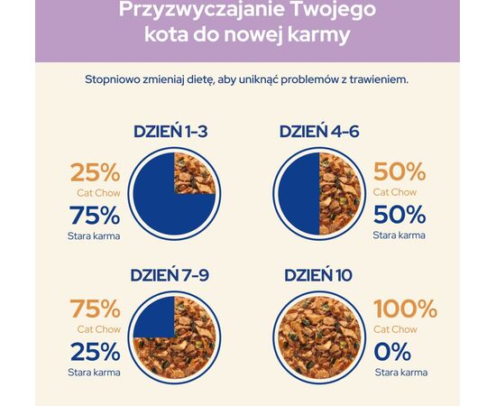 PURINA NESTLE PURINA CAT CHOW SENSITIVE GIG WITH SALMON AND ZUCCHINI IN SAUCE - WET FOOD FOR CATS - 85 G