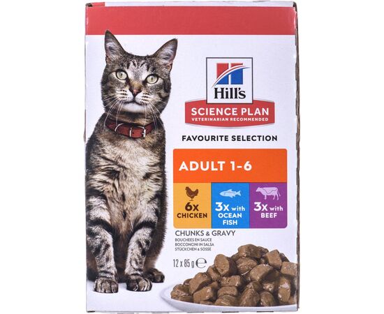 HILL'S FELINE ADULT MULTIPACK CLASSIC - SASZETKA 12X85G