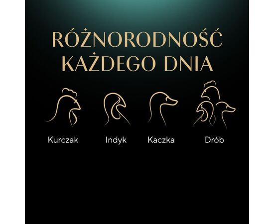 SHEBA NATURE'S COLLECTION DROBIOWE SMAKI W GALARECIE- DRÓB - ADULT- MOKRA KARMA DLA KOTA- 40X85