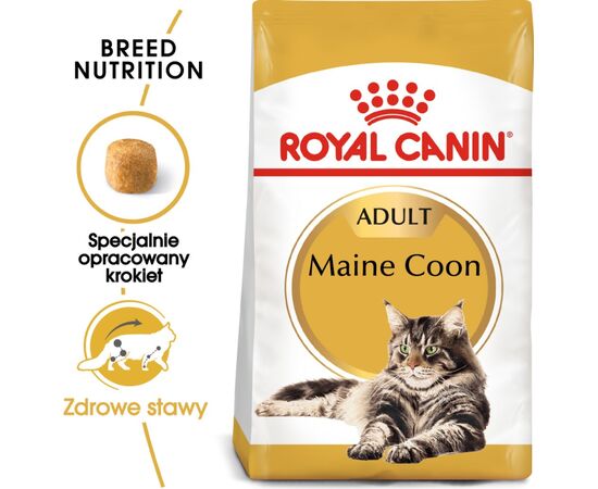 ROYAL CANIN FBN MAINE COON ADULT -  DRY FOOD FOR ADULT CATS - 4KG