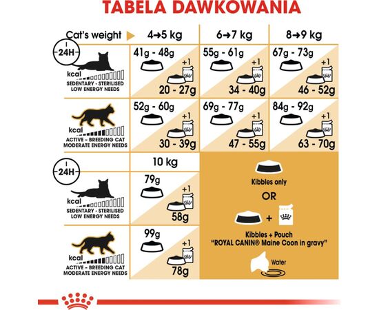 ROYAL CANIN FBN MAINE COON ADULT -  DRY FOOD FOR ADULT CATS - 4KG