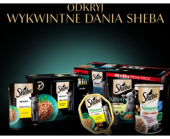 SHEBA NATURE'S COLLECTION DROBIOWE SMAKI W GALARECIE- DRÓB - ADULT- MOKRA KARMA DLA KOTA- 40X85