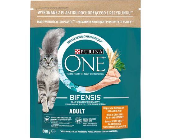 PURINA NESTLE PURINA ONE BIFENSIS ADULT - DRY CAT FOOD - 800 G