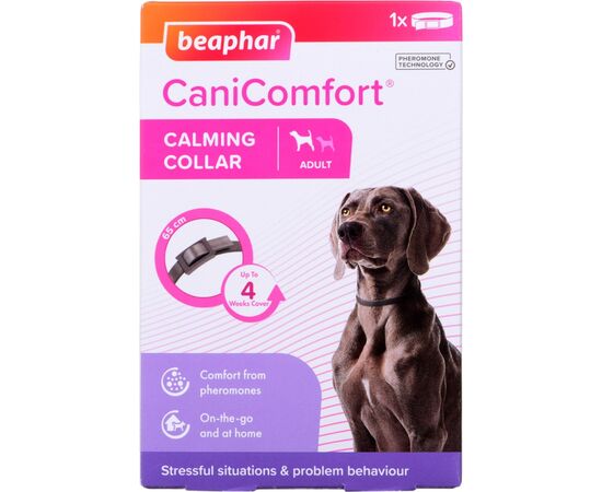 BEAPHAR COLLAR WITH PHEROMONES FOR DOGS - 65 CM