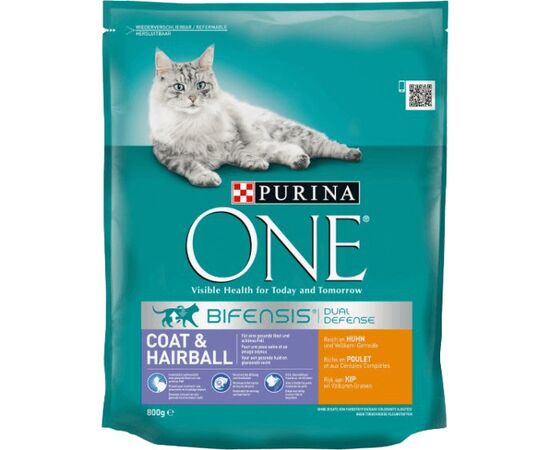 PURINA NESTLE PURINA ONE COAT & HAIRBALL RICH IN CHICKEN CATS DRY FOOD 800 G ADULT