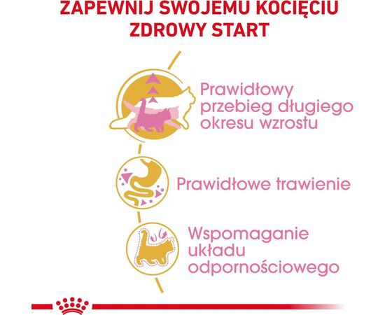 ROYAL CANIN MAINE COON KITTEN CATS DRY FOOD POULTRY,RICE 400 G