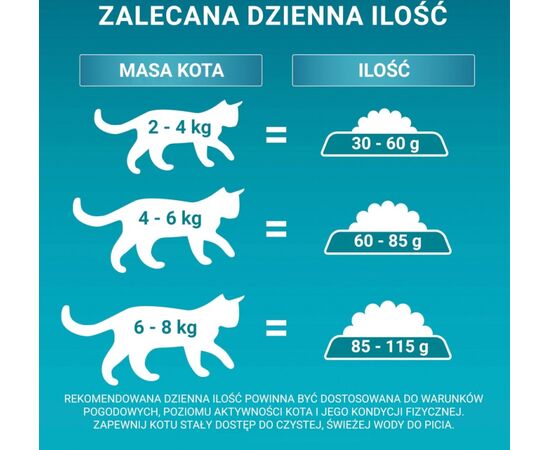 PURINA NESTLE PURINA ONE BIFENSIS ADULT - DRY CAT FOOD - 800 G