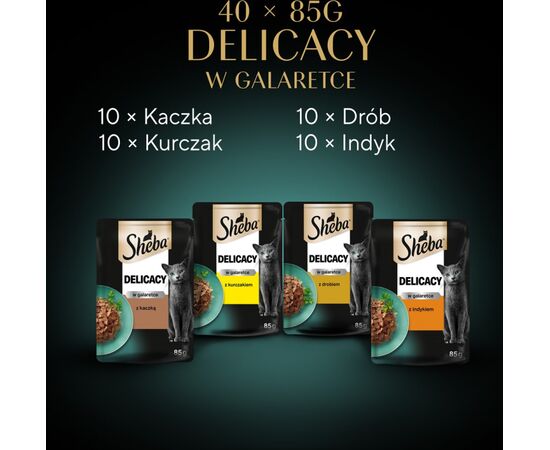 SHEBA DELICACY DROBIOWE SMAKI W GALARETCE - MOKRA KARMA DLA KOTA - 40X85 G