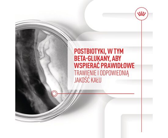 ROYAL CANIN SUPPLEMENTS DOG IMMUNITY & DIGEST PUPPY - DOG VITAMINS - 100G