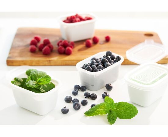 ROTHO FREEZE - FREEZER CONTAINER - 6X250ML