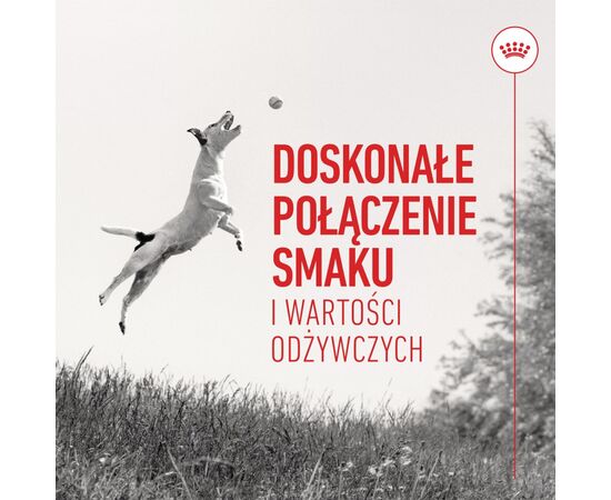 ROYAL CANIN TRAINING TREATS - DOG TREAT - 110G