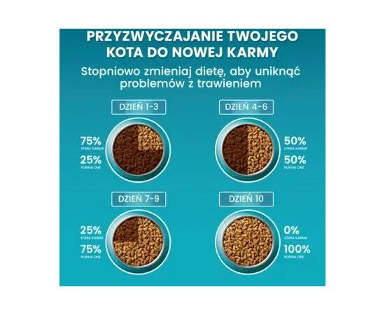 PURINA NESTLE PURINA ONE STERILCAT WOŁOWINA - DRY CAT FOOD - 9,75KG