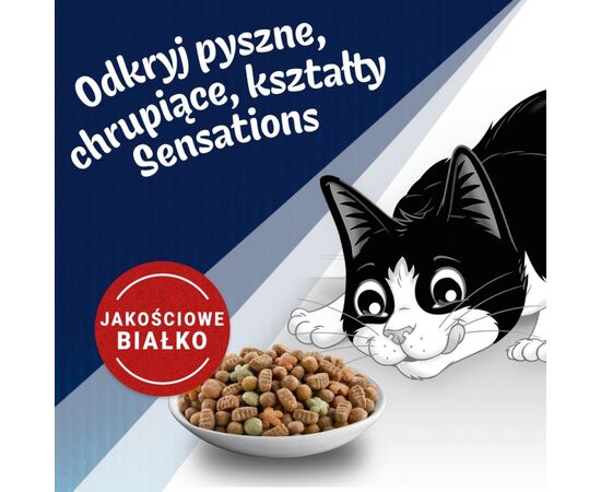 PURINA NESTLE PURINA FELIX COUNTRYSIDE SENSATIONS - DRY CAT FOOD - 1KG