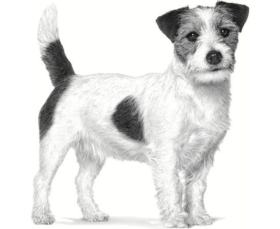 ROYAL CANIN VHN ANALLERGENIC SMALL DOGS - DRY FOOD FOR ADULT DOGS - 1.5 KG