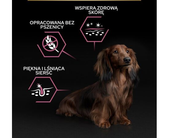 PURINA NESTLE PURINA PRO PLAN SENSITIVE SKIN SMALL & MINI ADULT SALMON - DRY DOG FOOD - 700G