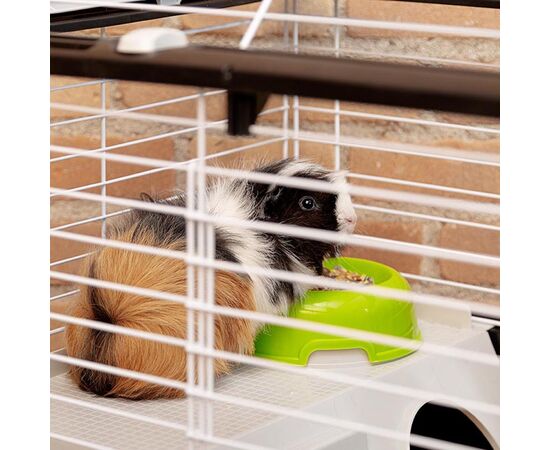 FERPLAST CASITA 80 - CAGE