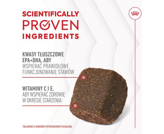 ROYAL CANIN SUPPLEMENTS DOG JOINT & AGEING ADULT - DOG VITAMINS - 240G