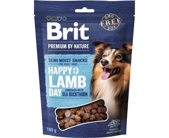 BRIT PREMIUM DOG SNACK LAMB WITH SEABUCKTHORN – DOG TREAT – 180 G