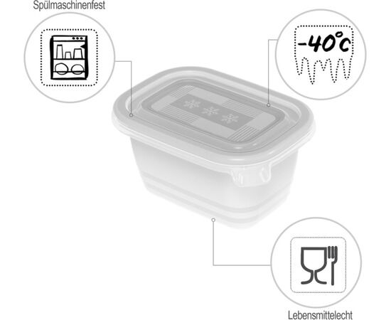 ROTHO FREEZE - FREEZER CONTAINER - 6X250ML
