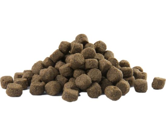 VERSELE-LAGA ADULT DIGESTION MEDIUM & MAXI 12.5 KG