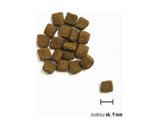 ORIJEN SMALL BREED MARINE FISH - DRY DOG FOOD - 1,8KG