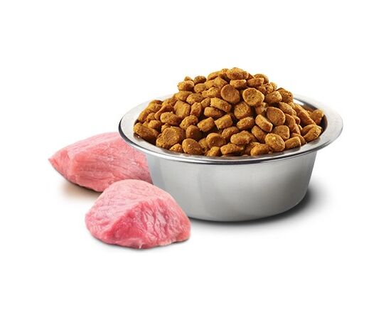 FARMINA PET FOOD 8010276033635 DOGS DRY FOOD 2.5 G ADULT CHICKEN