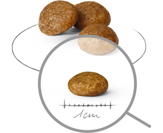 ROYAL CANIN ADULT X- SMALL SHN - DRY DOG FOOD - 1,5KG