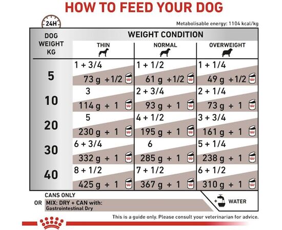 ROYAL CANIN VHN GASTROINTESTINAL LOAF - WET FOOD FOR DOGS - 200G