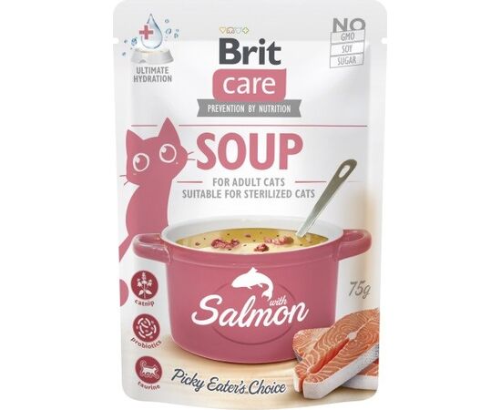 BRIT CARE SOUP SALMON - SOUP FOR CAT - 75G