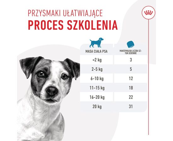 ROYAL CANIN TRAINING TREATS - DOG TREAT - 110G