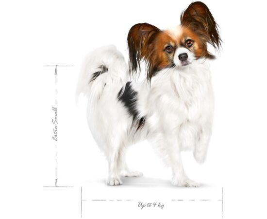 ROYAL CANIN ADULT X- SMALL SHN - DRY DOG FOOD - 1,5KG