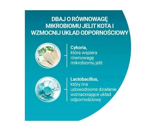 PURINA NESTLE PURINA ONE STERILCAT WOŁOWINA - DRY CAT FOOD - 9,75KG