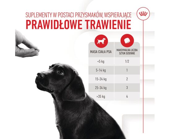 ROYAL CANIN SUPPLEMENTS DOG IMMUNITY & DIGEST PUPPY - DOG VITAMINS - 100G