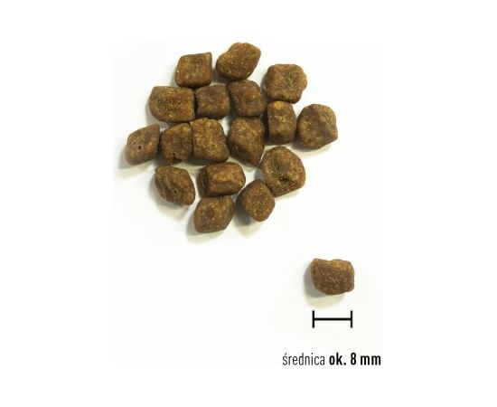 ORIJEN SMALL BREED PUPPY - DRY DOG FOOD - 1,8KG