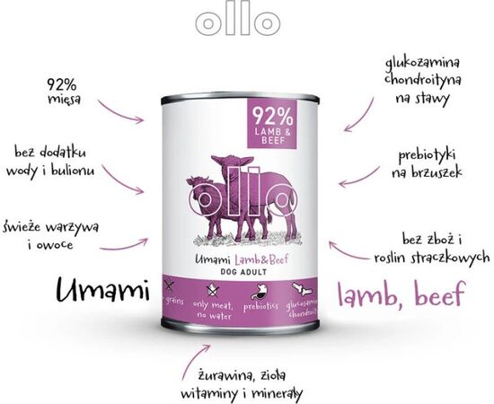 DOLINA NOTECI OLLO UMAMI LAMB AND BEEF – WET DOG FOOD – 400 G