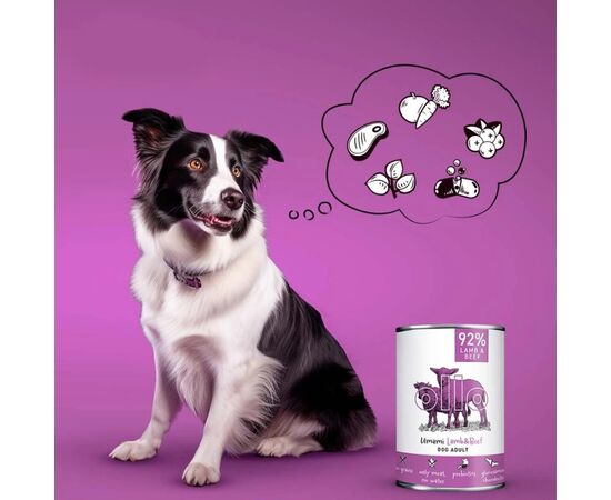 DOLINA NOTECI OLLO UMAMI LAMB AND BEEF – WET DOG FOOD – 400 G