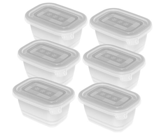 ROTHO FREEZE - FREEZER CONTAINER - 6X250ML