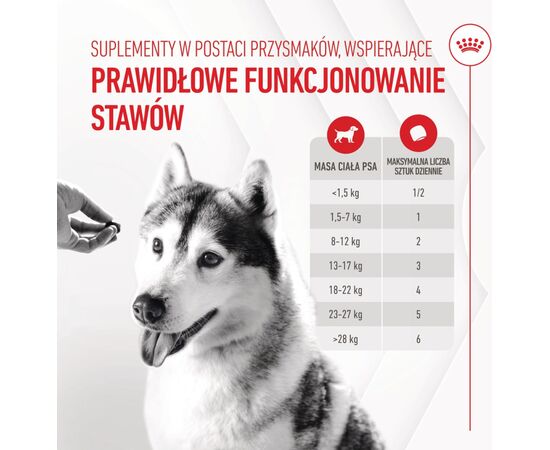 ROYAL CANIN SUPPLEMENTS DOG JOINT & AGEING ADULT - DOG VITAMINS - 240G