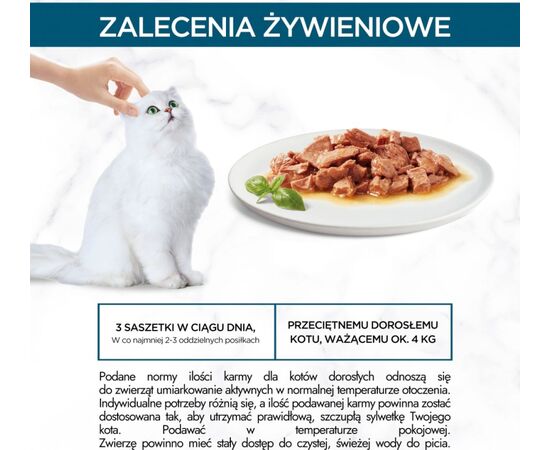 PURINA NESTLE PURINA GOURMET PERLE MINI FILLETS IN SAUCE - WET CAT FOOD - 60X85G