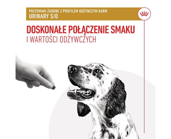 ROYAL CANIN DOG URINARY  TREATS VHN - DOG TREAT - 230G