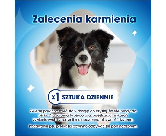 PURINA NESTLE PURINA DENTALIFE EXTRA MINI - DENTAL SNACK FOR DOGS - 69 G