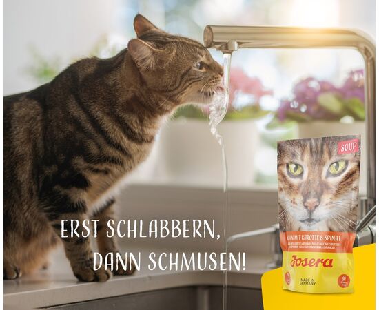 JOSERA CHICKEN SOUP WITH CARROTS AND SPINACH - WET CAT FOOD - 70 G