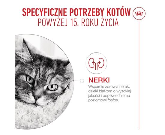 ROYAL CANIN AGEING 15+ - DRY CAT FOOD - 400G