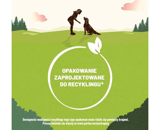 PURINA NESTLE PURINA ADVENTUROS TRAINING SALMON 40G