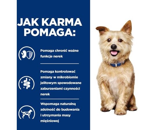 HILL'S PRESCRIPTION DIET CANINE K/D WET DOG FOOD CHICKEN STEW 354 G