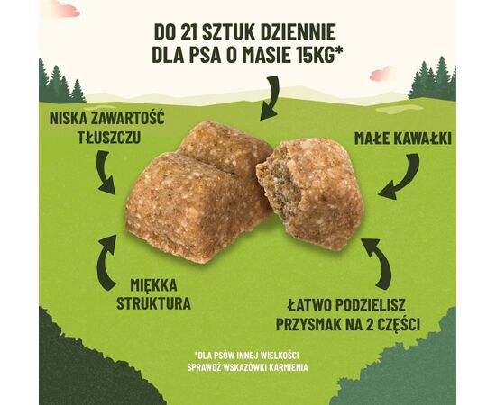 PURINA NESTLE PURINA ADVENTUROS TRAINING SALMON 40G