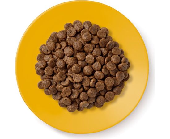 APPLAWS SENIOR CHICKEN - DRY CAT FOOD - 2KG