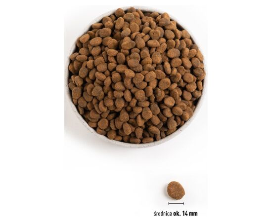 ORIJEN REGIONAL RED - DRY DOG FOOD - 2KG
